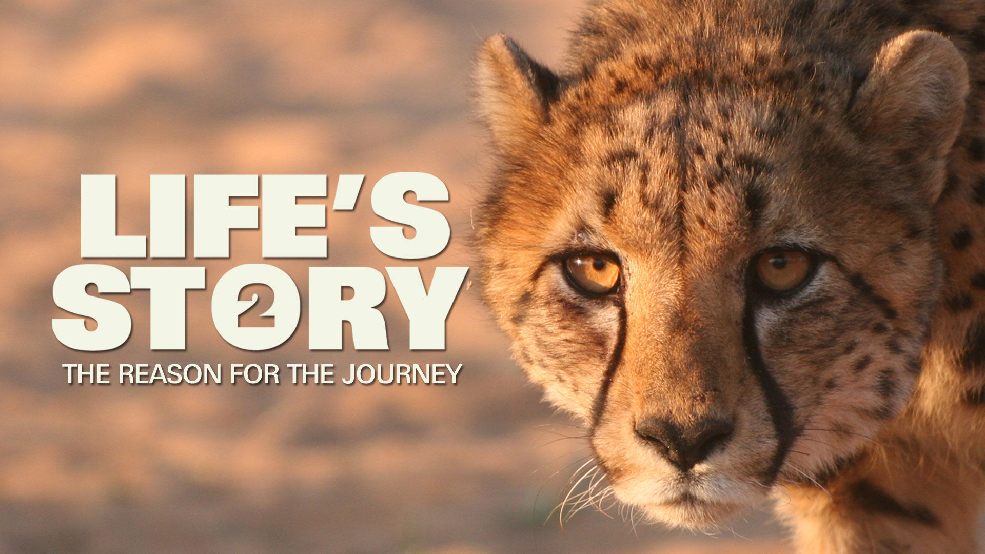 Life's Story Part 2