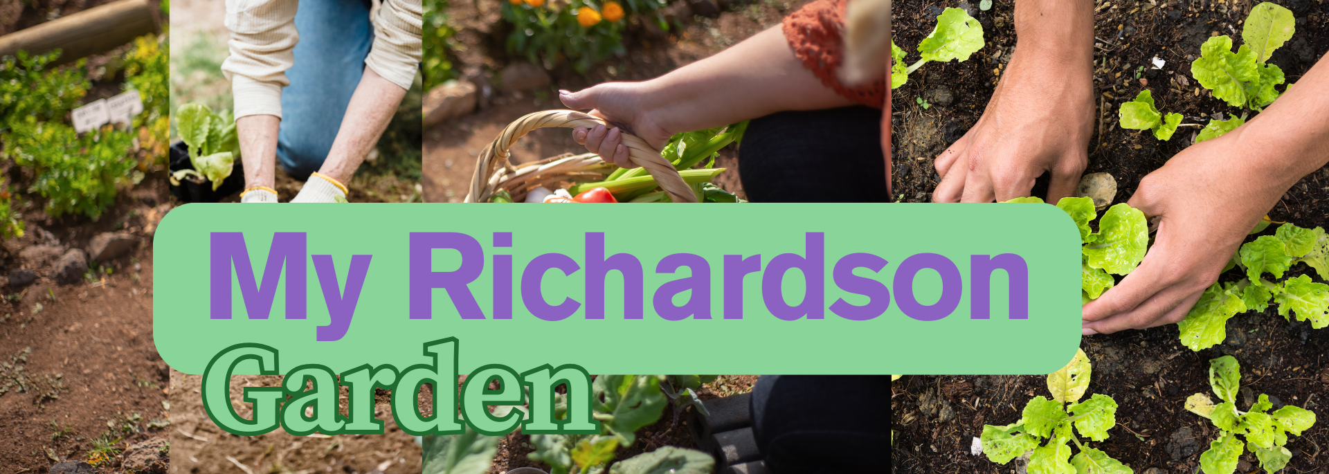 My Richardson Garden