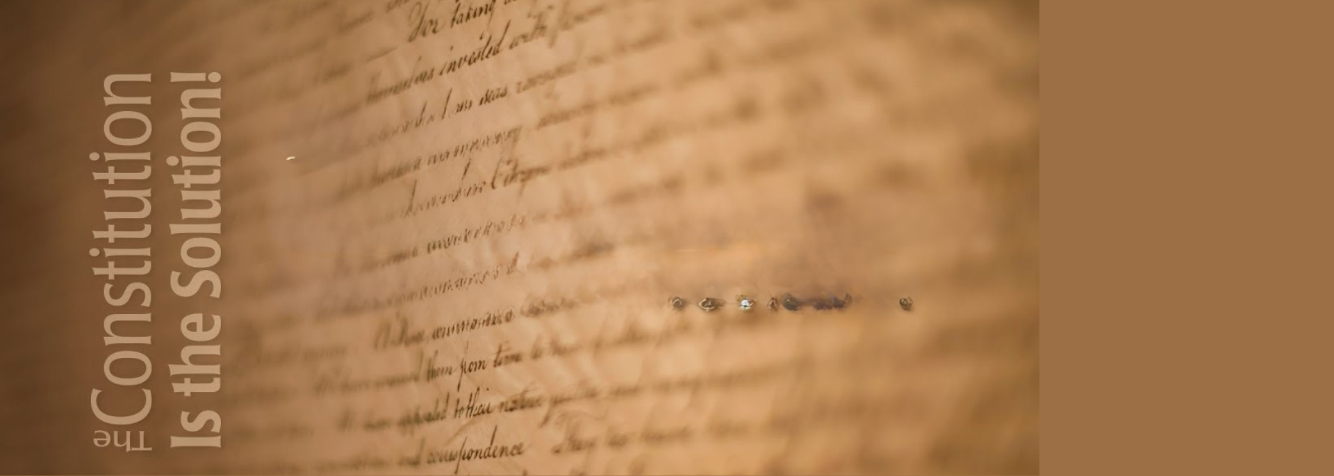 The Constitution is The Solution