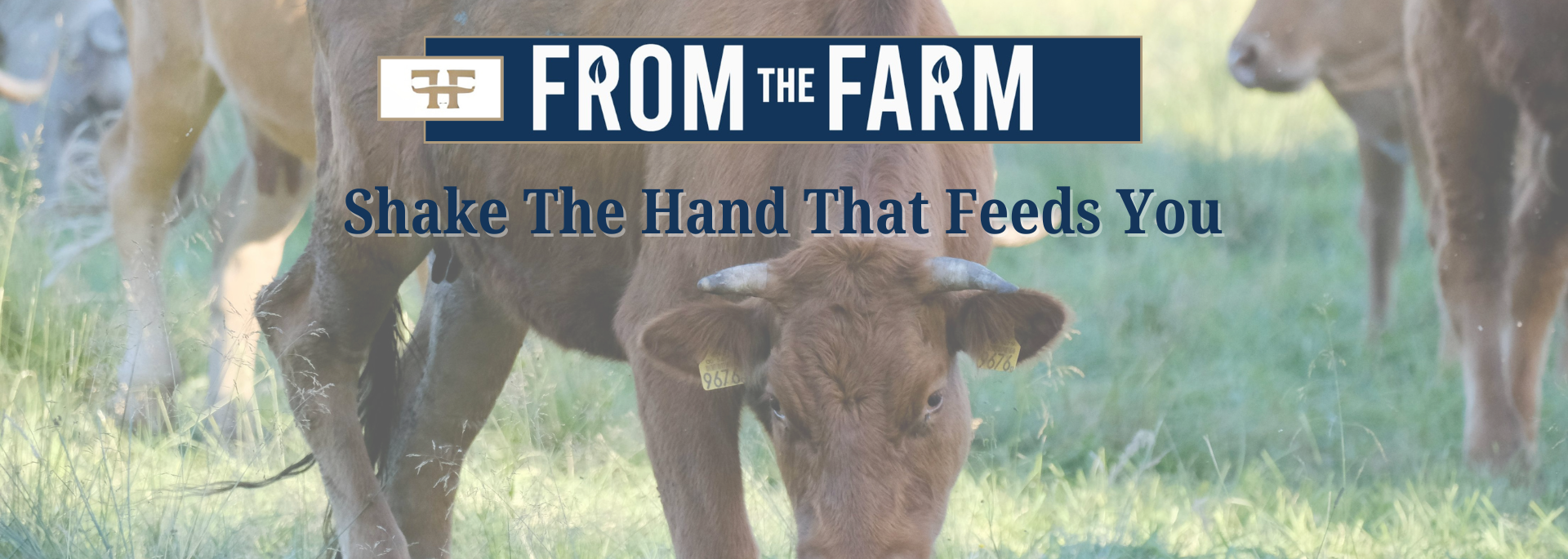 From The Farm